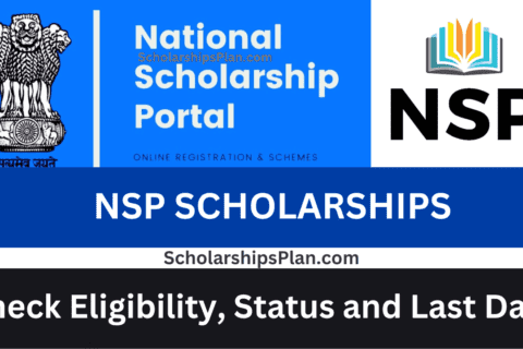 Nsp Scholarship 2024-25